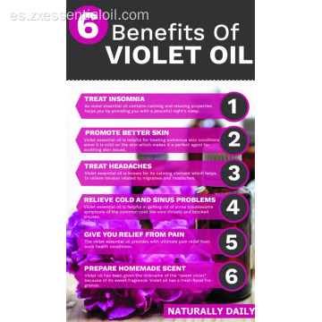 Suministro de fábrica de aceite esencial de violeta puro al por mayor